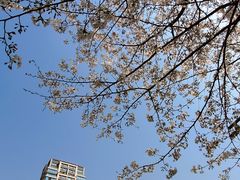-重庆中央公园(渝北区)