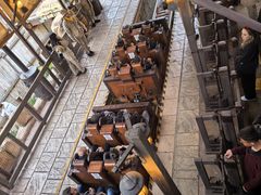 -巴黎迪士尼乐园