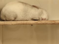 -龙猫仔乐园(惠福东路店)