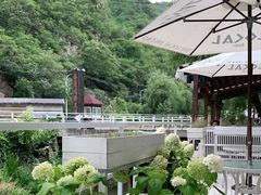 -Local泰莲庭(虹鳟鱼店)