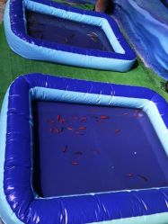 -酷嗒动物文化乐园(cutezoo西溪乐天城店)