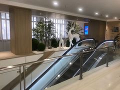 -上海市第一医药商店(南京东路店)