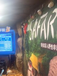 -卡通尼·Safari非洲探索乐园·生日会(金桥国际商业广场店)