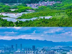 -大奇山国家森林公园