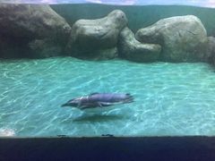 -重庆欢乐海底世界