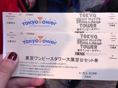 -东京塔海贼王主题公园