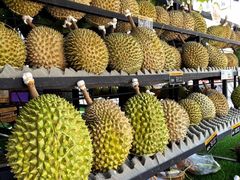 -都念榴莲·城市榴莲