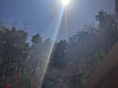 -秦岭天竺山景区
