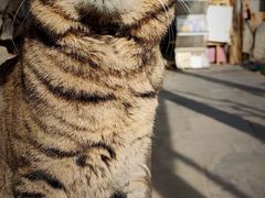-正阳书局(西四南大街店)