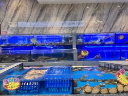 -稻香酒家-宴会厅·BB宴·年会·喜宴(天河领展店)