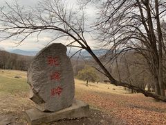 -森工平山皇家鹿苑景区
