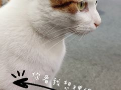 -青沐画室·专业美术培训