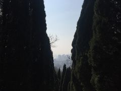 -青龙山公园