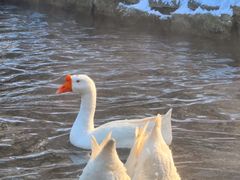 -水磨沟公园