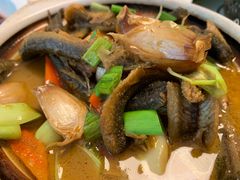 -天地生态农庄