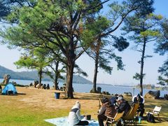 -东湖落雁景区