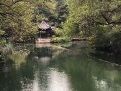 -西湖外事游船(花港观鱼码头)