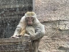 -黔灵山公园