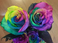 -ROSEONLY诺誓(青岛万象城店)