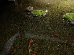 -几荷·恰似故人来(秀水广场店)