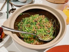 砂锅焗豆苗-潮民公馆(BFC外滩金融中心店)