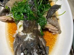 -陶陶居酒家(环市东店)