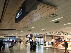 -达拉斯 沃斯堡国际机场