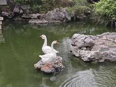-祝家花園(伯渎港店)