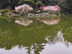-杭州植物园