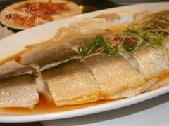 DSC05486清蒸白丝鱼128米-金陵一哥龙虾(水木秦淮店)