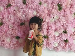 -樱花里音乐餐吧·牛扒椰子鸡(东圃店)