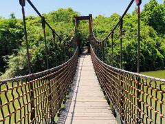 -上海吴淞炮台湾国家湿地公园