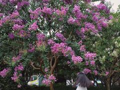 -杭州城北体育公园