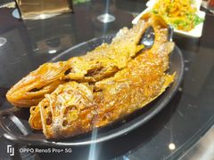 -虢国羊肉汤馆(政二街店)