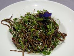 -红菜坊·烤鸭·川鲁宴(石园店)