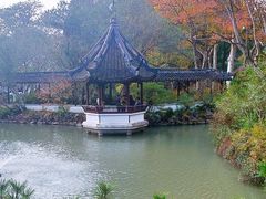 -上海醉白池公园