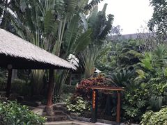 -厦门日月谷温泉渡假村