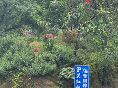 -笑红饭庄