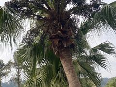 -重庆海昌加勒比海水世界