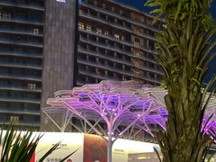 -观澜湖新城运动奥莱区