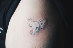 动物-新肤洗纹身