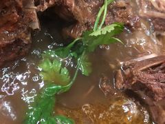 -芦月轩羊蝎子(劲松店)