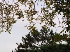 -国家植物园