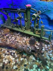 点击看大图 -酷嗒动物文化乐园(cutezoo西溪乐天城店)