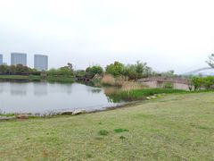 -澹台湖公园