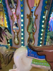 -卡通尼·Safari非洲探索乐园·生日会(金桥国际商业广场店)