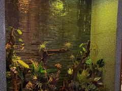 -泰适SPA馆丨精油·按摩·足道(后海地铁口店)