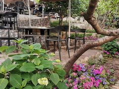 -桃源山庄·水蜜桃采摘·柴火鸡·烧烤团建(龙泉山店)