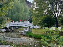 -洛阳市隋唐城遗址植物园