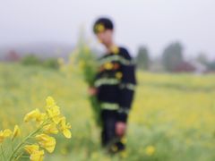 -西海岸生态观光园